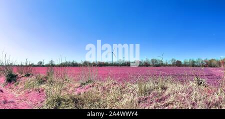 Eautiful fantasy Infrarot Landschaft Panorama in rosa und lila Farben Stockfoto