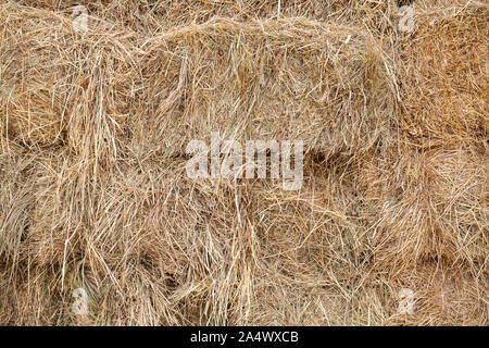 Gestapelte Heu blocks lag in der Farm Lagerung, Hintergrund Foto Textur Stockfoto