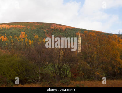 Der runde Turm inmitten von Bäumen in voller Herbstfarbe, Glendalough, Wicklow Mountains National Park, County Wicklow, Irland Stockfoto