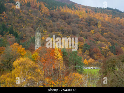 Der runde Turm inmitten von Bäumen in voller Herbstfarbe, Glendalough, Wicklow Mountains National Park, County Wicklow, Irland Stockfoto