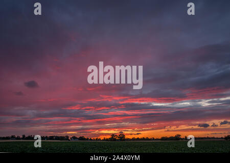 Dunkel rosa Wolken nach Sonnenuntergang über dem Horizont in Nowiny, Polen Stockfoto