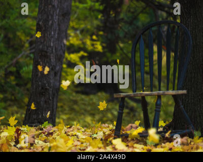 Grünen Stuhl sitzt draußen, so Goldgelb Ahorn Blätter fliegen Vergangenheit es im Herbst. Stockfoto