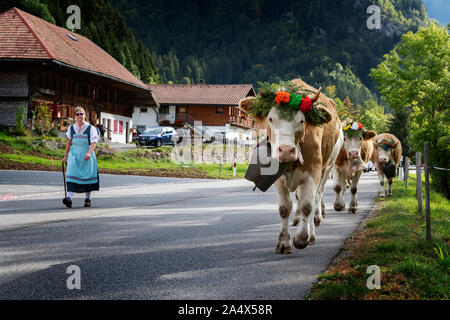 Charmey, Fribourg, Schweiz - 28 September 2019: Landwirte mit einer Herde von Kühen auf der jährlichen Wanderhaltung in Charmey in der Nähe von bulle, Freiburg Zone auf Stockfoto