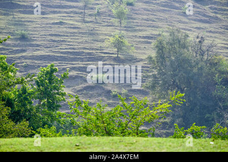 Detailansicht der Hügel in Xilitla Mexiko. Stockfoto