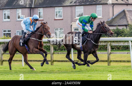 Ein Moment in der Züchter sichern Racing EBF Flying Scotsman Bedingungen Stangen - Musselburgh, 14. Okt 2019. Stockfoto