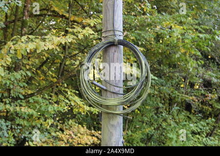 Das Kabel aufgerollt mit Moos auf einer alten hölzernen Mast gebunden, ausgewählte konzentrieren sich auf Kabel Stockfoto