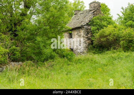 Ruine eines alten Bauernhauses umgeben von viel Grün auf dem Weg nach Santiago de Compostela im Aubrac Stockfoto