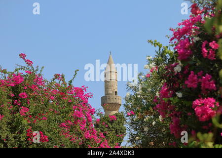 Der Minarettturm in der Stadt Kos Griechenland Stockfoto