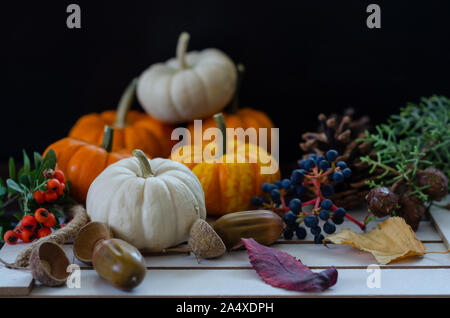Festliche Herbst Dekor aus Kürbissen, Blätter, pinienzapfen und Acorn auf einer hölzernen Hintergrund. Konzept der Thanksgiving oder Halloween. Stockfoto