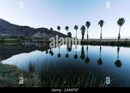 Dämmerung Blick auf die Oase in der Wüste Palme Reflexionen an den Soda Springs Teich in der Nähe von Zzyzx und die Mojave National Preserve in Kalifornien. Stockfoto
