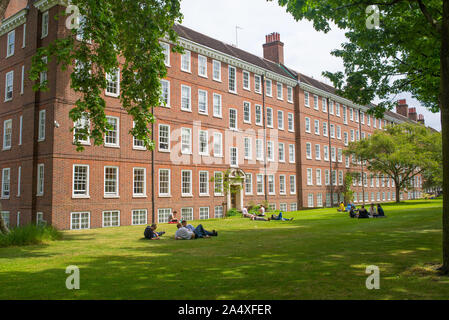 Gray's Inn Spaziergänge Gärten. Leute genießen Gray's Inn Fields Park im Sommer. Holborn, London, UK Stockfoto