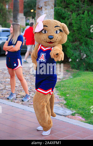 Wilma Wildkatze, die weibliche Maskottchen von der Universität von Arizona in Tucson Wildkatzen Stockfoto