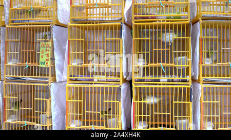 Platz Vogelkäfige in mongkok Vogel Markt in Hongkong Stockfoto