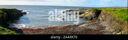 Panorama von erstaunlichen Kopf Haken Halbinsel Bay, County Wexford, Irland Stockfoto