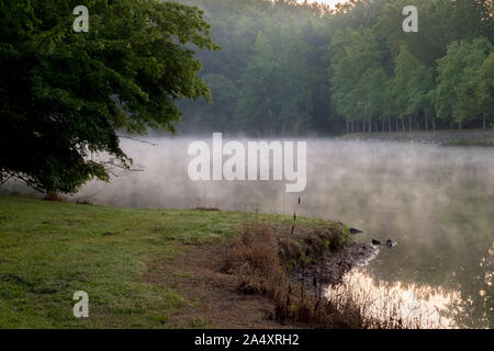 Am frühen Morgen Nebel macht für eine Moody, aber schönen Anfang des Tages bei Grundy Lakes Park in Tracy City, Tennessee des Südens Cumberland Stat Stockfoto