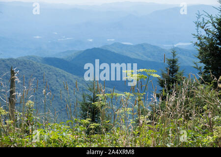 Herrliche Sicht auf die Great Smoky Mountains vom Clingmans Dome in der Nähe von Gatlinburg, Tennessee. Stockfoto