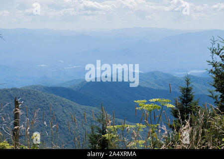 Herrlichen Blick auf die Great Smoky Mountains vom Clingmans Dome in der Nähe von Gatlinburg, Tennessee. Stockfoto