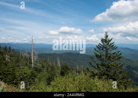 Herrliche Sicht auf die Great Smoky Mountains unter puffy Wolken von der Clingmans Dome in der Nähe von Gatlinburg, Tennessee. Stockfoto