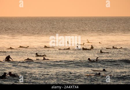 Surfer warten für Wellen bei Sonnenuntergang am Strand von Canggu, Bali, Indonesien Stockfoto