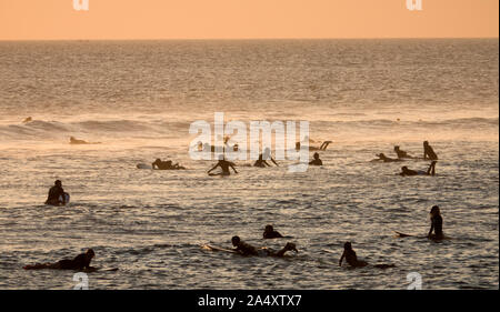 Surfer warten für Wellen bei Sonnenuntergang am Strand von Canggu, Bali, Indonesien Stockfoto