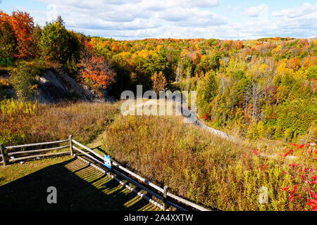 Panorama Ausblick Blick auf brillante Farben des Herbstes in Rouge nationalen städtischen Park, Toronto, Ontario, Kanada Stockfoto
