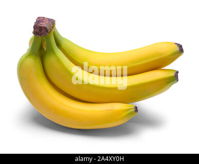 Kleine Bündel Bananen isoliert auf weißem Hintergrund. Stockfoto