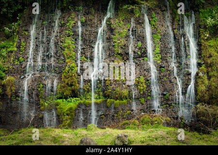 Eine Wand aus Wasser an der Shiraito fällt in der Nähe von Fujinomiya, Japan, auf der Liste der Top 100 Wasserfälle Japans. Stockfoto