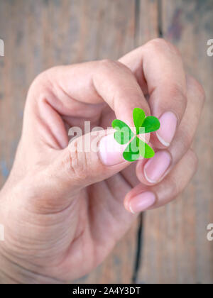 Das Mädchen mit Kleeblatt Konzept für Liebe, Hoffnung und Güte auf altem Holz. Stockfoto