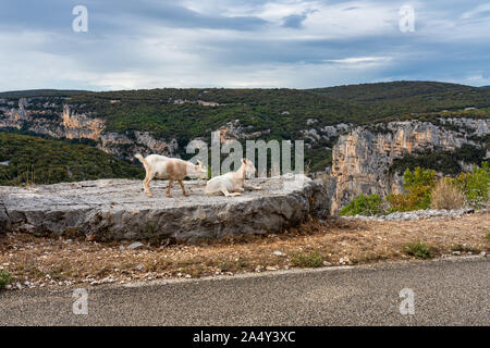 Querformat um Labastide de Virac in Ardeche, Frankreich Stockfoto