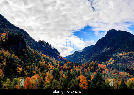 Atemberaubenden Herbstfarben im Tal Stockfoto