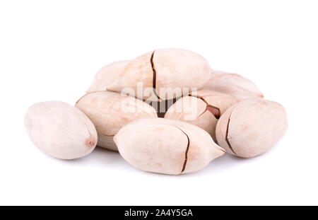 Pekannuss auf weißem Hintergrund. Unshelled Pecan. Stockfoto