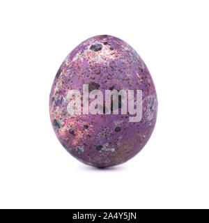 Wachtel Osterei lila Farbe auf weißem Hintergrund. Ostern Konzept. Makro Stockfoto