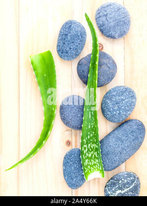 Aloe Vera auf Steinen Spa Behandlung Szene natürliche Thermen Zutaten für die Hautpflege im Zen wie Konzepte. Stockfoto