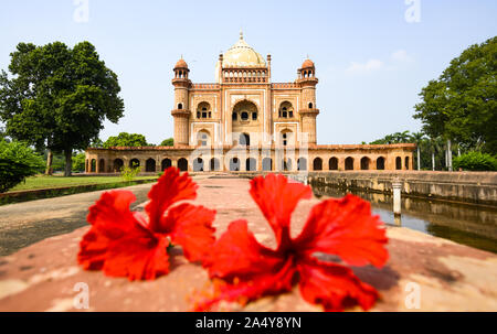 (Selektive Fokus) einen atemberaubenden Blick auf die safdarjung Grab im Hintergrund und verschwommener roter Hibiskus Blumen im Vordergrund. New Delhi, Indien. Stockfoto