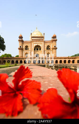 (Selektive Fokus) einen atemberaubenden Blick auf die safdarjung Grab im Hintergrund und verschwommener roter Hibiskus Blumen im Vordergrund. New Delhi, Indien. Stockfoto