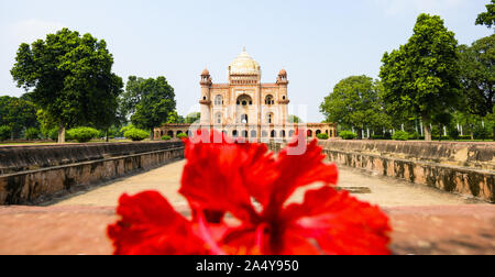 (Selektive Fokus) einen atemberaubenden Blick auf die safdarjung Grab im Hintergrund und verschwommener roter Hibiskus Blumen im Vordergrund. New Delhi, Indien. Stockfoto