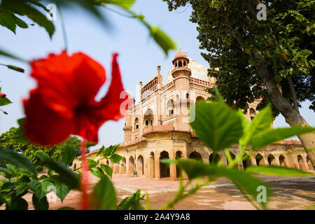 (Selektive Fokus) einen atemberaubenden Blick auf die safdarjung Grab im Hintergrund und verschwommener roter Hibiskus Blumen im Vordergrund. New Delhi, Indien. Stockfoto