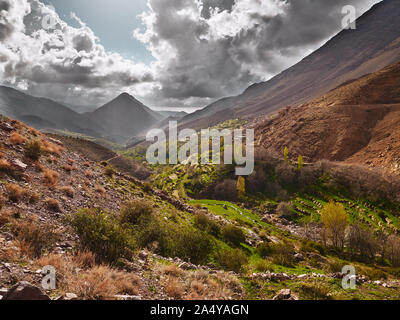 Schönen grünen Tal mit Terrassierten cascade Felder in der Nähe von Tacheddirt anzeigen Aourit n'Ouassif Höhepunkt im Hohen Atlas in der Nähe von Ouarzazate, Marokko, Norden ein Stockfoto