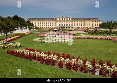 Blumenbeete vor Schloss Schönbrunn, Wien, Österreich Stockfoto