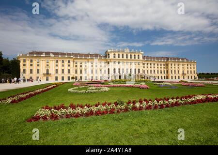 Blumenbeete vor Schloss Schönbrunn, Wien, Österreich Stockfoto