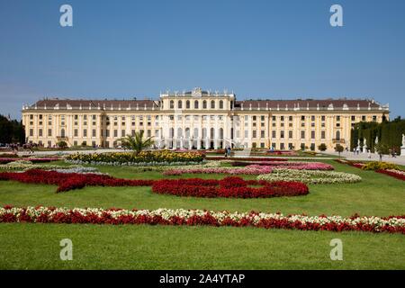 Blumenbeete vor Schloss Schönbrunn, Wien, Österreich Stockfoto