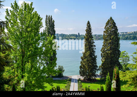 Blick über den Bodensee zwischen Bäumen, Insel mainau Stockfoto