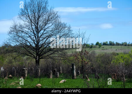 Szene der alten, verlassenen muslimischen Friedhof Grabsteine in der Landschaft Feld Stockfoto