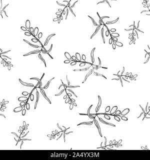 Sanddorn, Zweig mit Beeren. Nahtlose Muster. Hand Made vektor Zeichnung in der Art der Gravur. Essen, Dessert, Medizin Stock Vektor