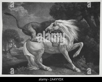 Ein Pferd von einem Löwen, 1788 angegriffen. Stockfoto