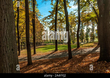 Italien Piemont Venaria Reale La Mandria Regional Park - Stockfoto