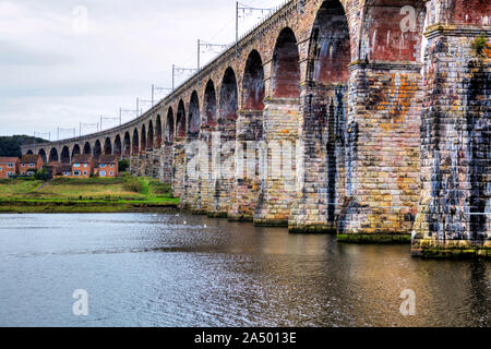 Royal Grenze Brücke über den Fluss Tweed, Berwick upon Tweed, Northumberland, England, UK, Berwick upon Tweed Bridge, Brücke, Brücken, Berwick, Stockfoto