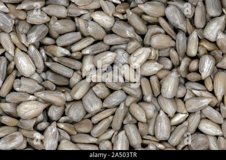 Makro Hintergrund der Bündel geschälte Sonnenblumenkerne Stockfoto