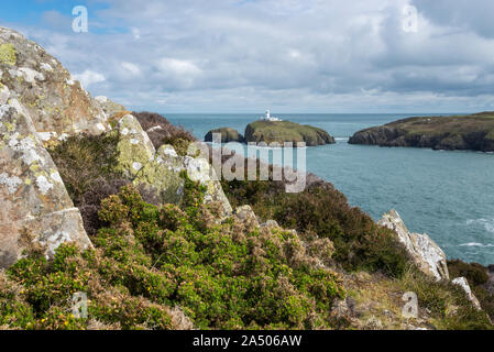 Strumble Head in der Nähe von Fishguard im Pembrokeshire Coast National Park, Wales. Stockfoto