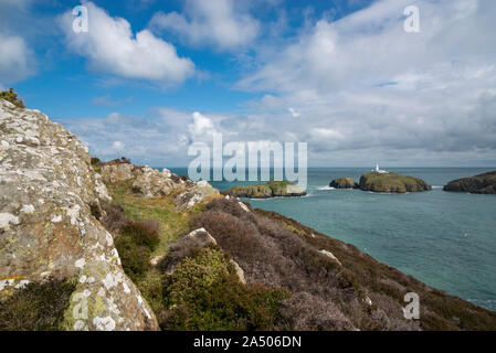 Strumble Head in der Nähe von Fishguard im Pembrokeshire Coast National Park, Wales. Stockfoto